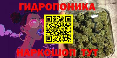 гашик Кунгур