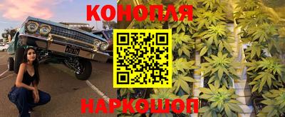 гашик Кунгур