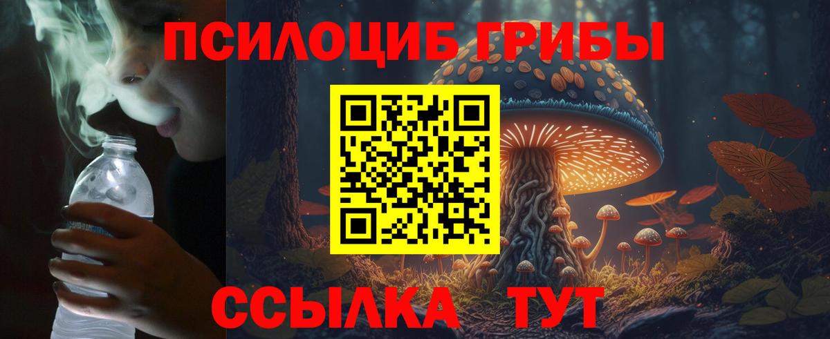 Псилоцибиновые грибы Magic Shrooms Зеленодольск